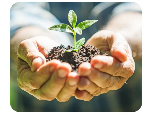 man with plant in his hands sustanability carbonconnector