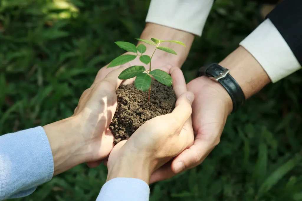 two man holding a plant