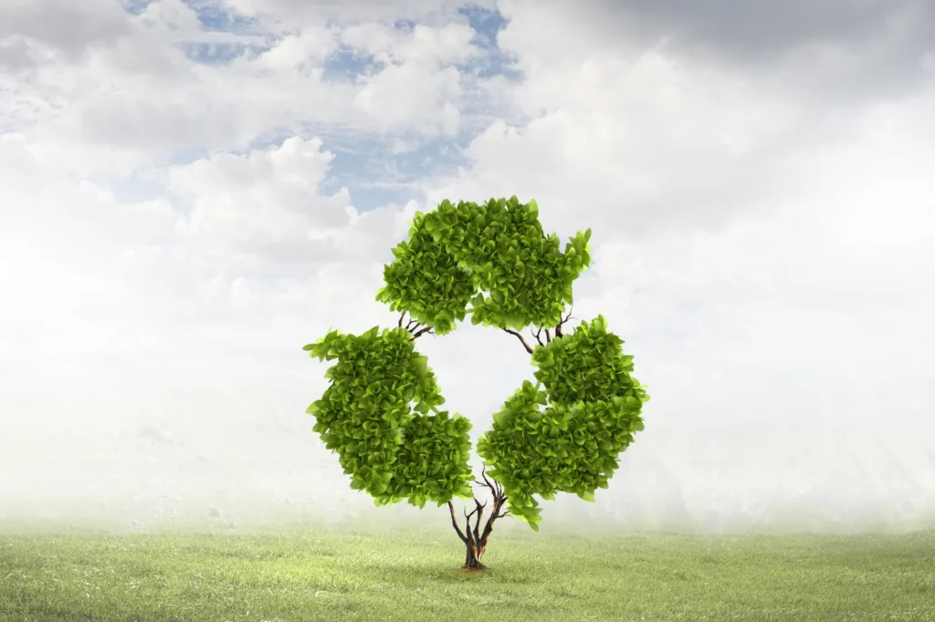 tree-shaped recycle sign