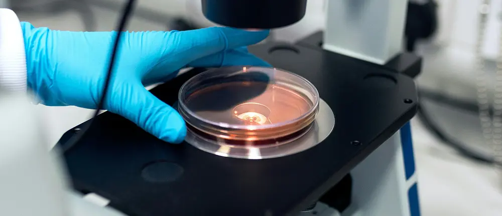 A gloved hand holds a small cup under a microscope, showing magnified microbes inside