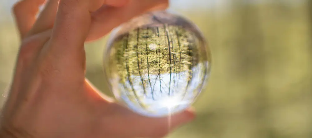 Hand holding a glass sphere that reflects an upside-down view of trees and sunlight