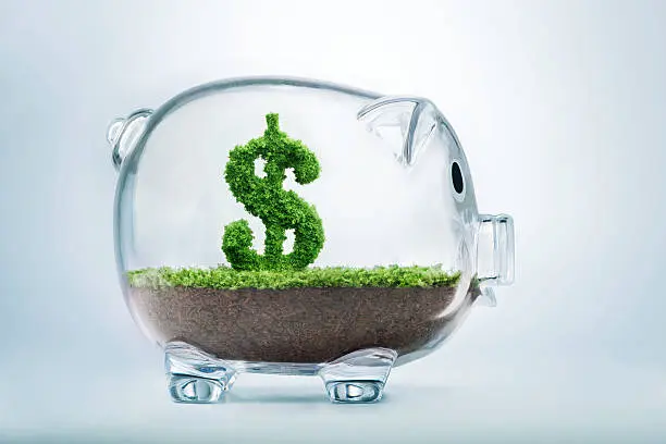 Transparent piggy bank with soil and a green plant shaped like a dollar sign, symbolizing environmental credits