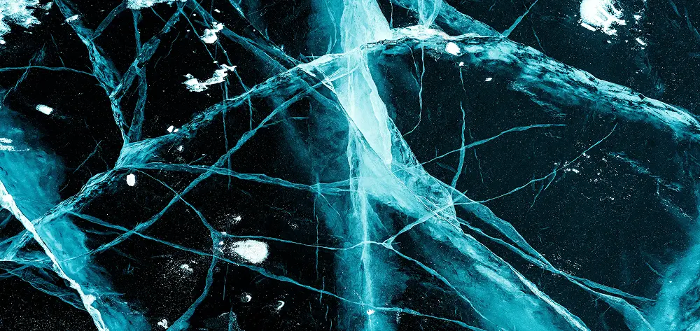 Close up of a Central Nervous System