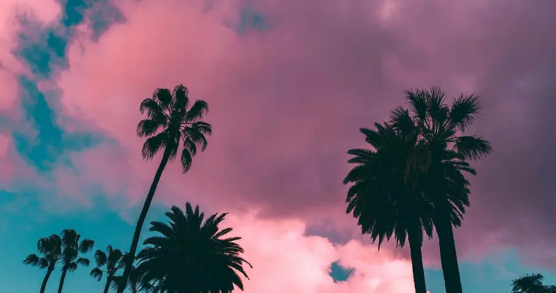 Rows of slender palm trees rise against a soft sunset sky blending pink and blue in a typical Southern California scene